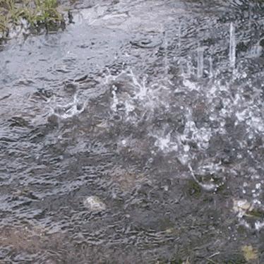 临沂最新天气预报查询报告