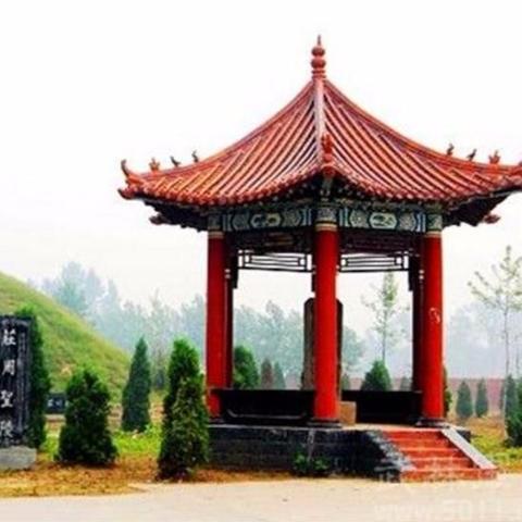 万二之首最新视频解析揭秘