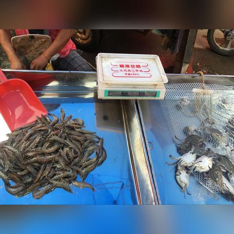 山东棉花今日最新价格分析与未来展望