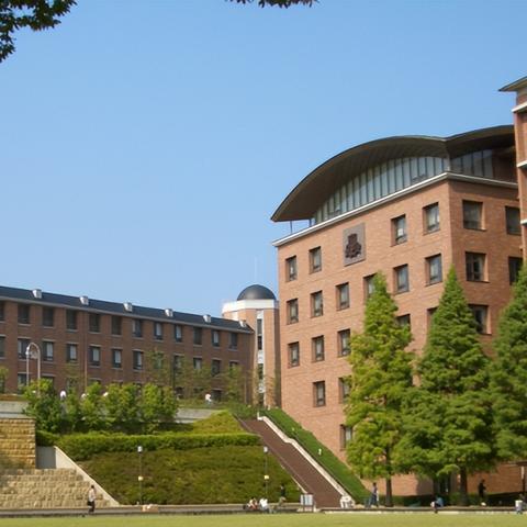 SIS论坛最新地址分析报告，深度解读数据趋势