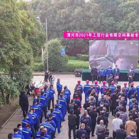 银鸽股份最新公告深度解读