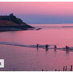 莆田木兰大道最新进展消息