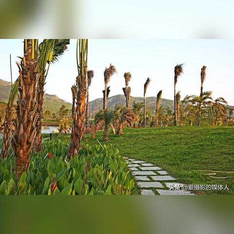 厦门湾南岸最新进展信息