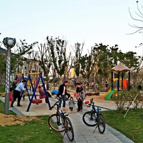 厦门湾南岸最新进展信息