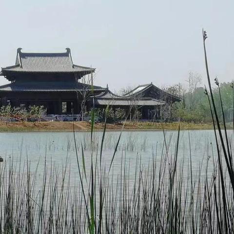 淮西湖公园最新动态更新来袭！