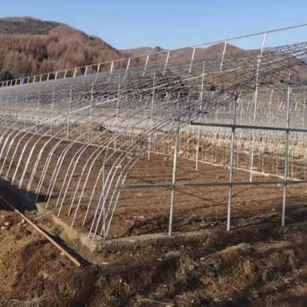 宽甸最新出租楼房信息全面解析