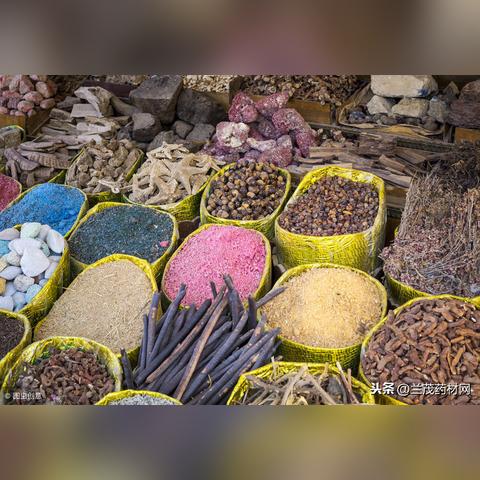 成都鸡价格行情最新分析