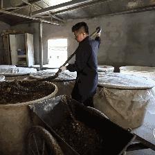 温州菜场出租信息更新,最新动态速览