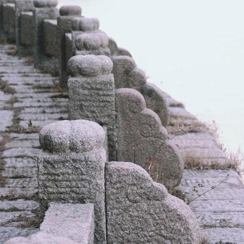 武汉金口最新新闻聚焦