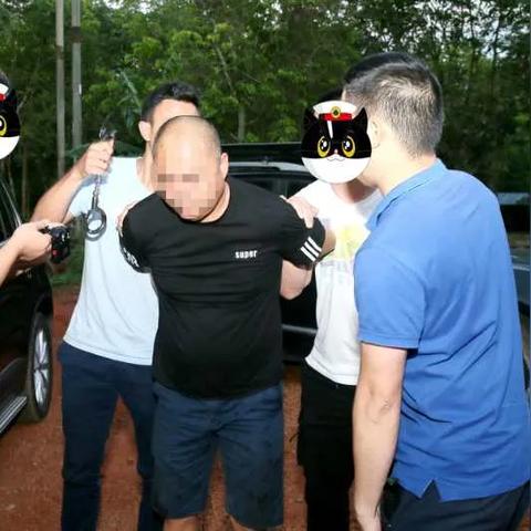 琼海个人土地最新出售动态通知