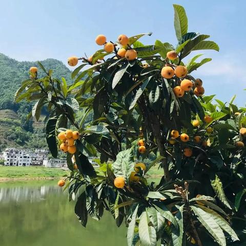 2025养殖建设新规定全面解析