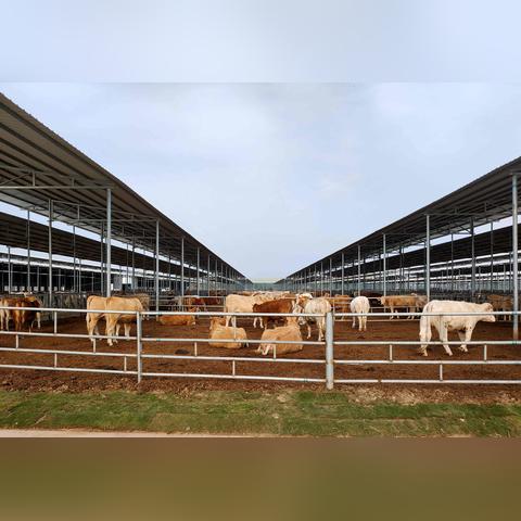 2025养殖建设新规定全面解析