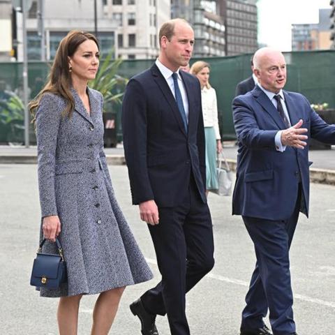 最新女王扇耳光视频揭秘,数字背后的故事