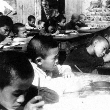 肥城工厂最新招聘信息全面解析