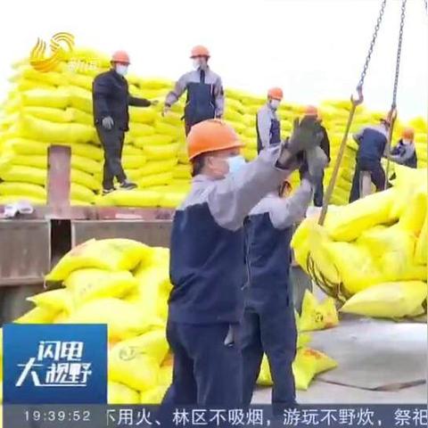 山东瑞星尿素最新市场行情分析