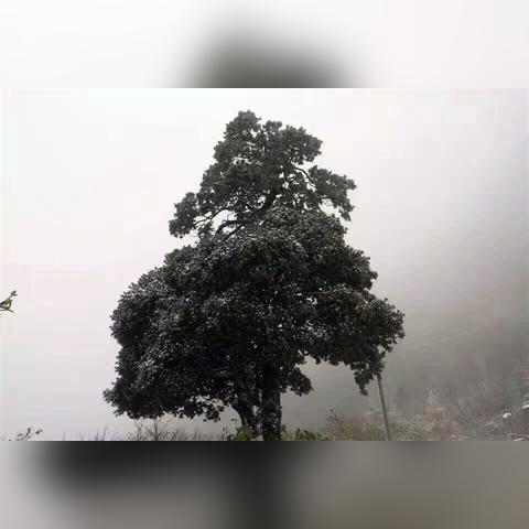 冬雪新马甲揭秘，雪花的神秘面纱之下