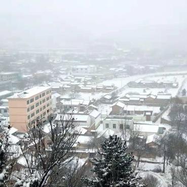 冬雪新马甲揭秘,雪花的神秘面纱之下