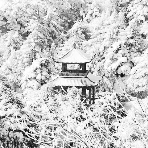 冬雪新马甲揭秘,雪花的神秘面纱之下