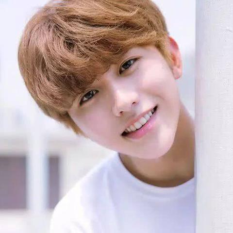 哈尔滨斯卡拉演员介绍最新名单