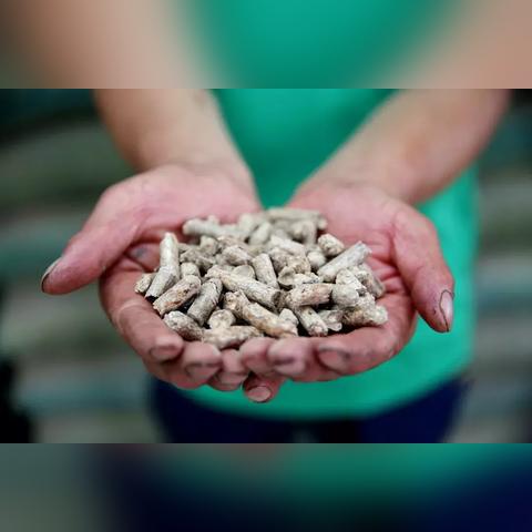 沈阳废钢价格行情最新解析