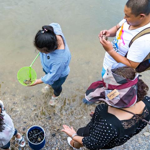 拾美海域实时资讯更新