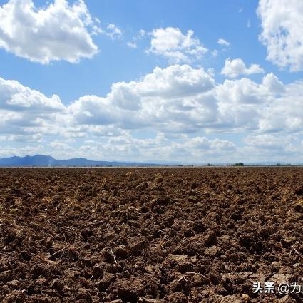 山塘街店铺转让最新动态解析
