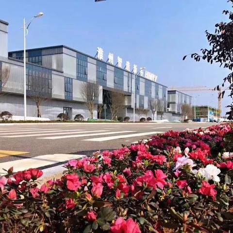 金堂大智造园区进展及未来展望