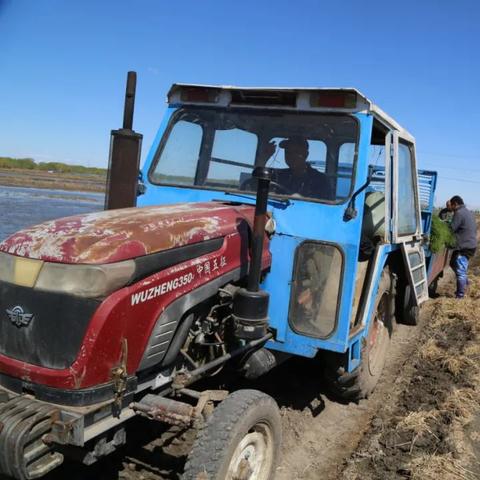 水稻补苗器技术革新，提升农业生产利器