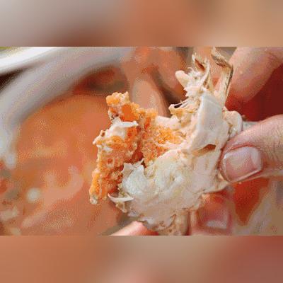 天津螃蟹价格行情最新分析