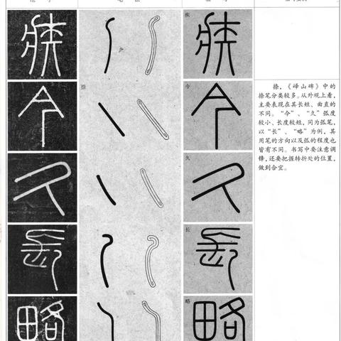 最新会员电影深度剖析