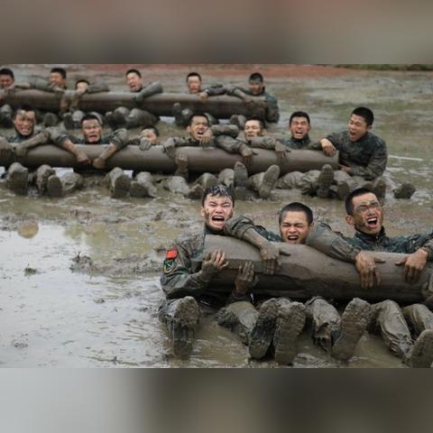 极限挑战知乎最新数据揭秘,惊人现象大揭秘