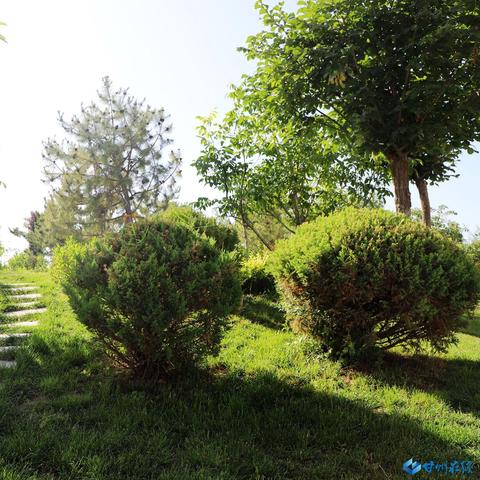 文津花园最新报价及市场趋势深度解析