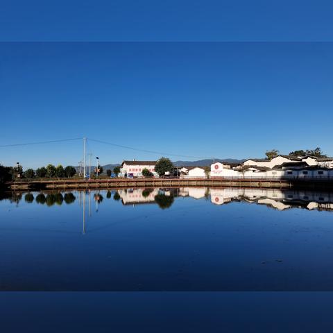 鱼塘招租信息公告，最新租赁机会来了！