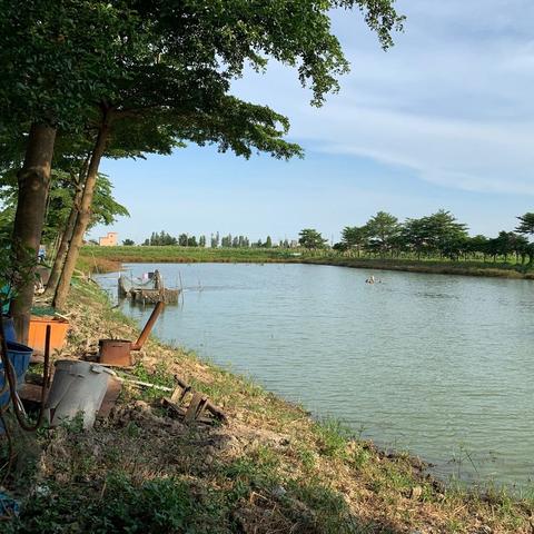 鱼塘招租信息公告,最新租赁机会来了!