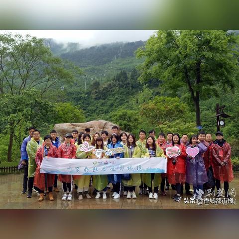 湖南中安最新公告发布，关注最新动态