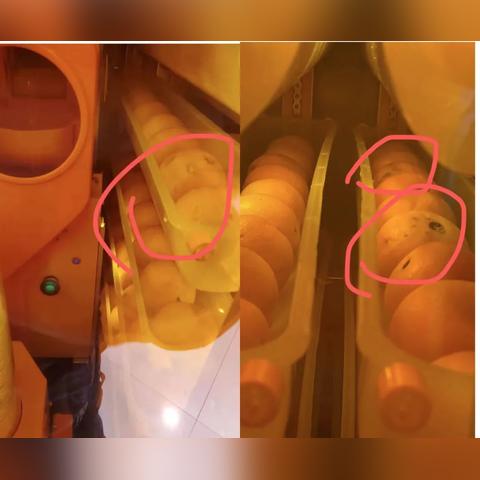 ＂2025新奥原料免费大全＂的：数据科学解析说明_34-05-12-38-37-04 T：017.33