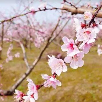 慈溪最新地图详细解析