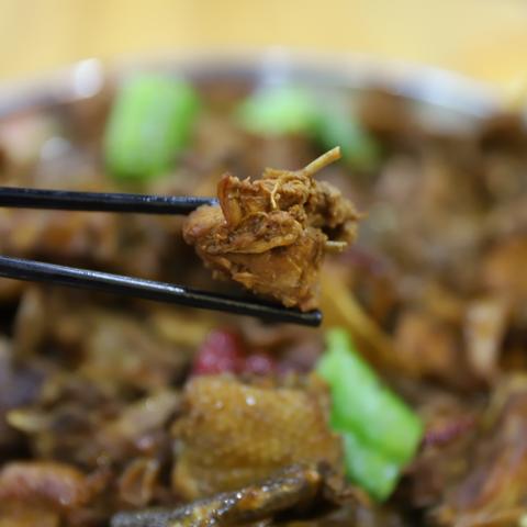 滨州毛鸡行情最新价格解读