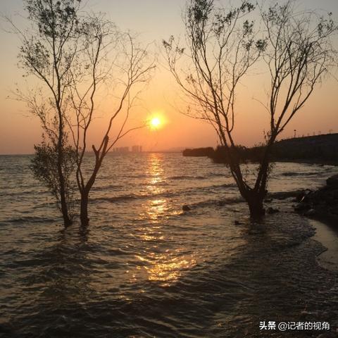 高速云水湾最新报价与市场走势分析