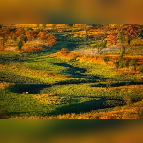 吉林废铁价格行情最新分析