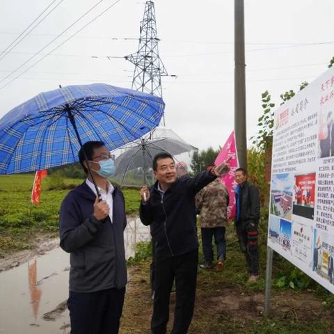 松原花生价格走势分析