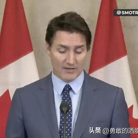 未来展望,2025年探索前行的脚步