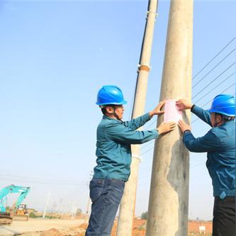 罗村新闻速递，最新报道汇总