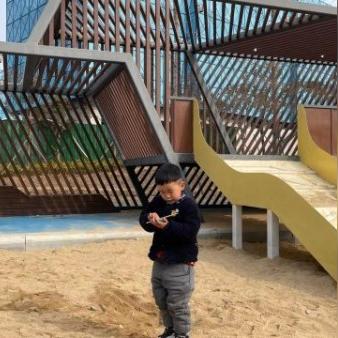 郑州金水西路最新进展动态