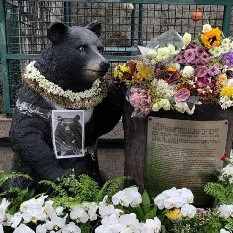 ＂澳门开奖结果+开奖记录表生肖＂的：即时解答解析分析_47-34-25-26-21-19 T：475.21