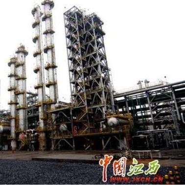 新余赛维现状深度解析