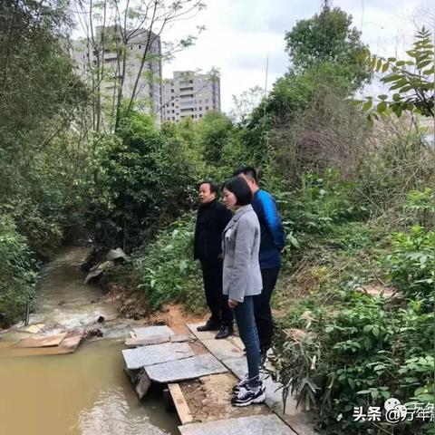 夏营水库最新进展消息