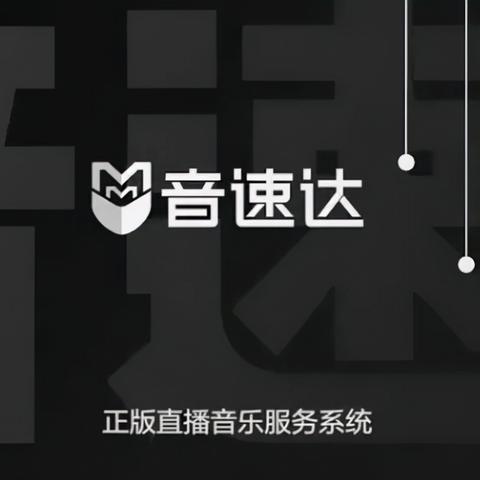 初音速最新版，全新音乐体验深度解析