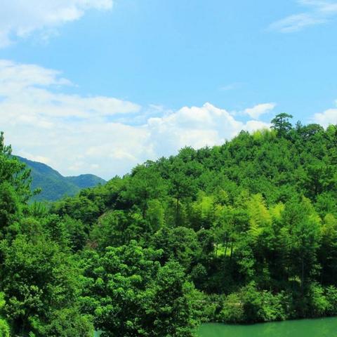 仙桃市最新房价走势分析