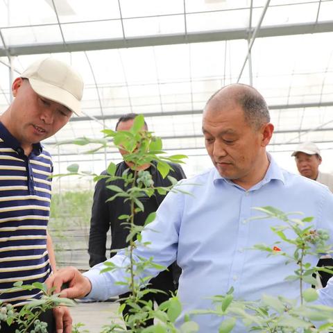 如皋市领导团队调整,引领城市新篇章